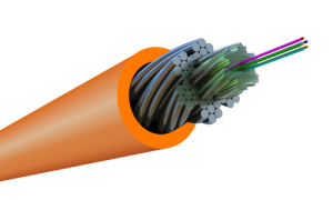 FO-AWS1-IN-50-1-LSZH-OR_0