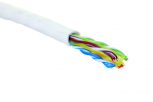 19C-U6-02WT-B305_0