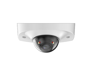 DH-IPC-HDBW2449FP-AS-IL-0280B_3