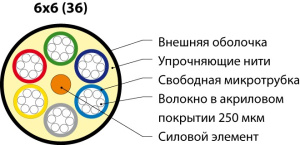417419_1