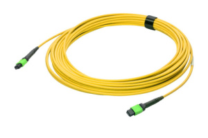 43M-S2-08-M8-M8-007-FFA-10_0