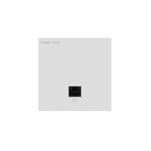 RG-RAP1261_0