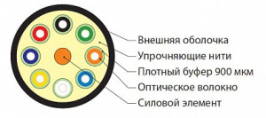 394568_1