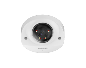 DH-IPC-HDBW2449FP-AS-IL-0280B_0