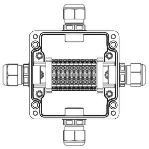 524405