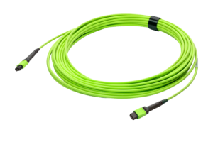 43M-50-24-M2-M2-005-FFA-10_0